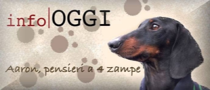 Un cane è per sempre