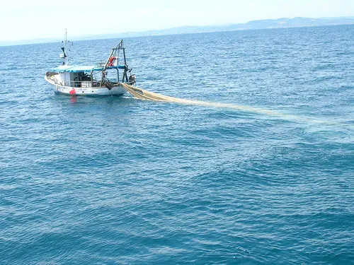 Liguria, via libera dal ministero per la pesca al rossetto
