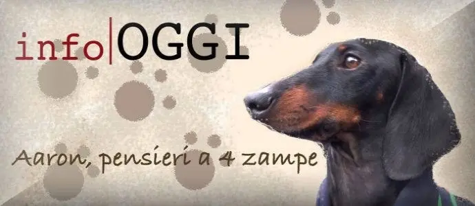 Brevi separazioni