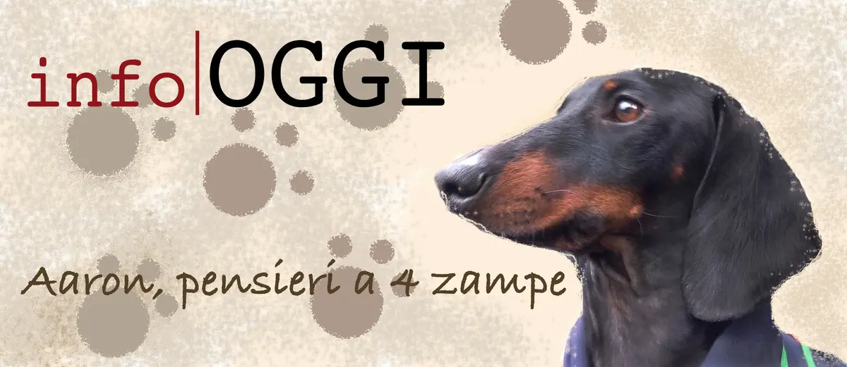 Bass presentazioni