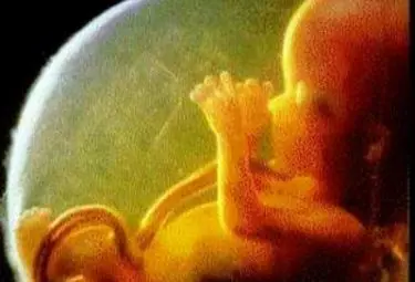 Video shock su aborto: Curia e preside sospendono insegnante di religione