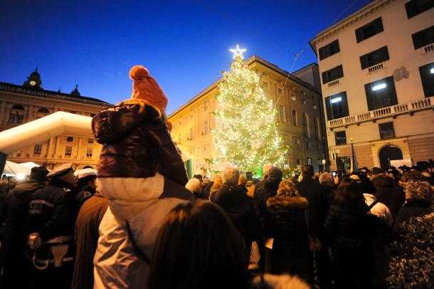 Natale 2014, Parco dell'Aveto dona enorme albero in piazza De Ferrari a Genova