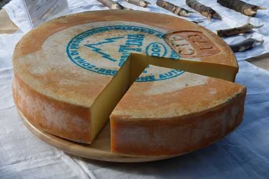 Fontina d'Alpage, la giuria accoglie anche due classi universitarie