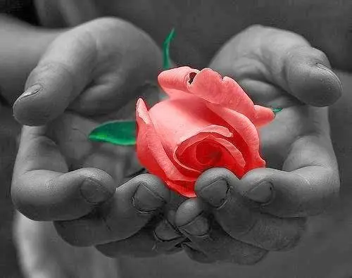 La vita è mia e faccio ciò che voglio io