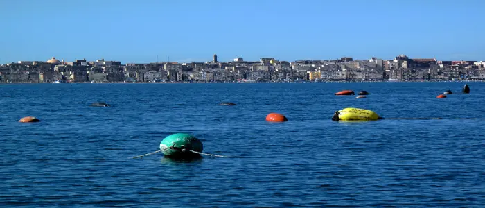 Resi noti i dati di Arpa Puglia sul Mar Piccolo di Taranto