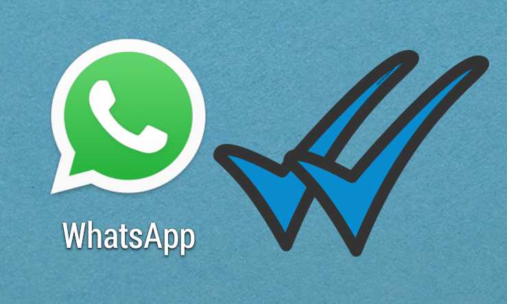 WhatsApp, arriva la nuova spunta blu: privacy a rischio