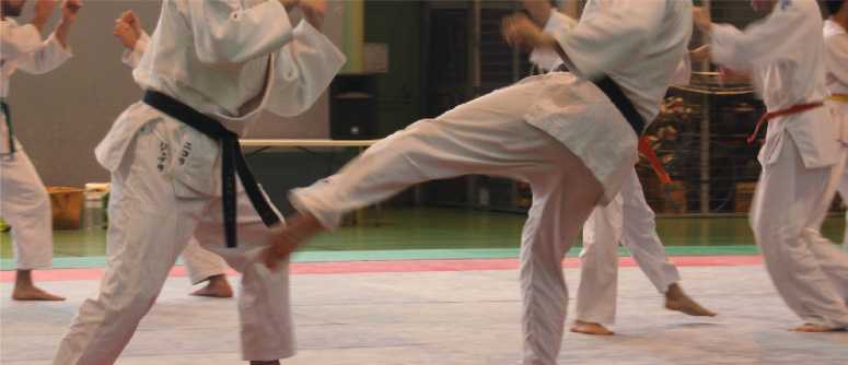 Coppa Italia Ju-Jitsu, vittoria degli umbri del Club La Dolce Arte
