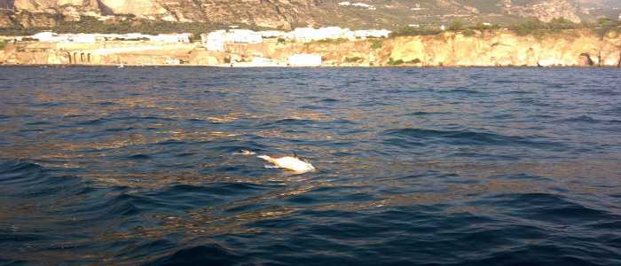 Ripescato a Manfredonia il cadavere dell'uomo ucciso a Peschici il 16 Ottobre