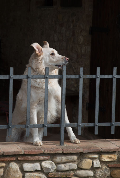 Le norme anti stalking non si applicano ai vicini di casa