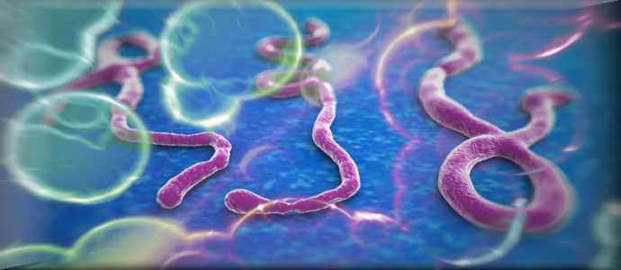 Un primo caso di Ebola negli Stati Uniti. Il presidente Obama informato della situazione
