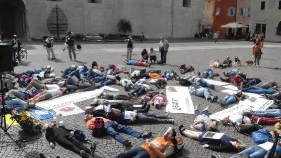 Orsa Daniza: duecento animalisti in piazza Duomo a Trento