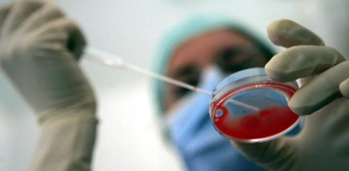 Piemonte, Saitta annuncia: «Fecondazione eterologa in tre ospedali pubblici»