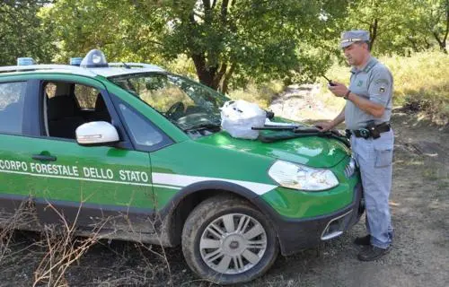 Mendicino (Cs): deferito un cacciatore di Acri, esercitava l'attività venatoria con mezzi vietati