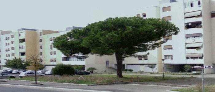 Rinuncia all'alloggio: lettera aperta ad InfoOggi