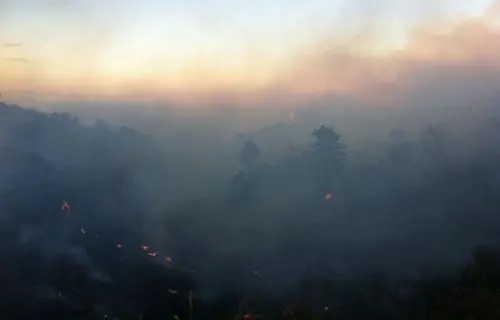 Rossano: incendi, soccorsi ok. Pene certe per piromani