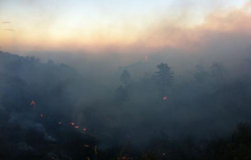Rossano: incendi, soccorsi ok. Pene certe per piromani