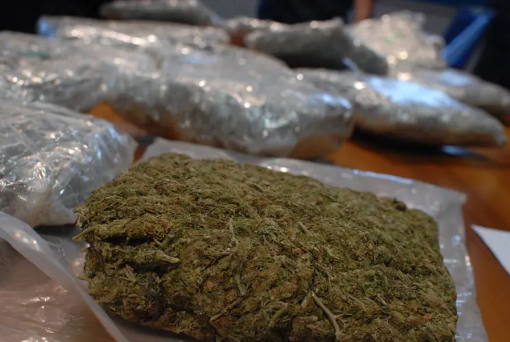 Perugia, sequestrati  circa 750 grammi di marijuana