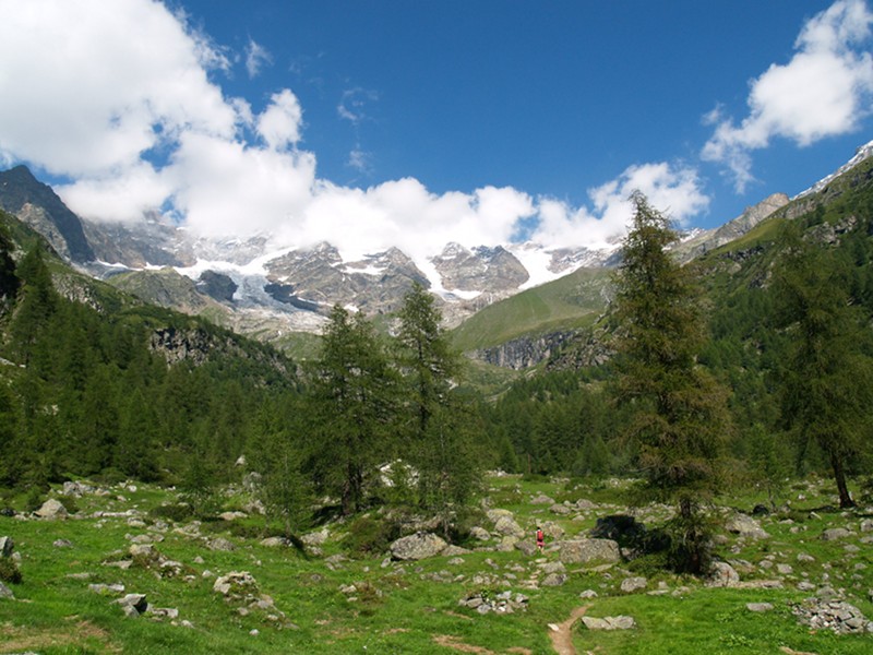 Vercelli: cercatore di funghi 50enne muore in Valsesia precipitando in un burrone