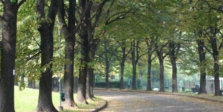 Torino, affitta camper a prostitute: arrestato un anziano recidivo