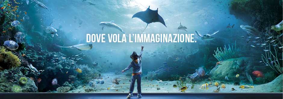 Tripadvisor premia Acquario di Genova: è il migliore di Italia