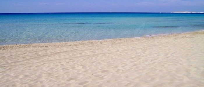 Lavoro nero, scattano i controlli