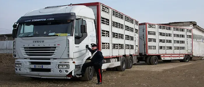 Assaltavano i tir nelle aree di servizio: arrestati due pregiudicati