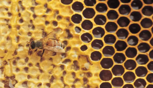 Agricoltura in ginocchio, disagi e ritardi in Valle d'Aosta