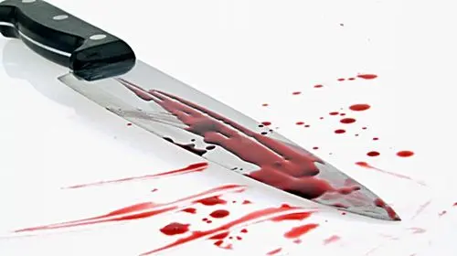 Pisa: sgozza la madre perché non gradisce la cena