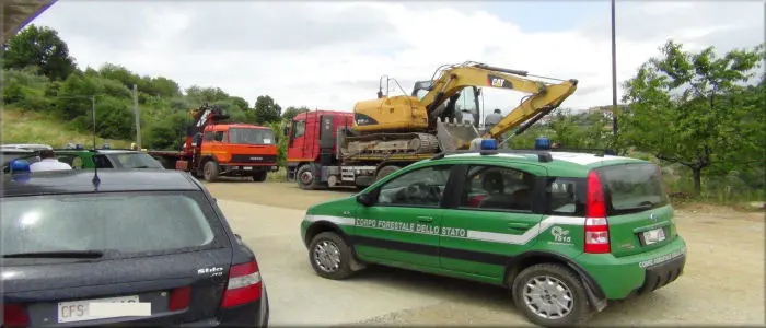 Acri: 10.000 Pini e Abeti tagliati abusivamente. Deferito amministratore di una ditta boschiva