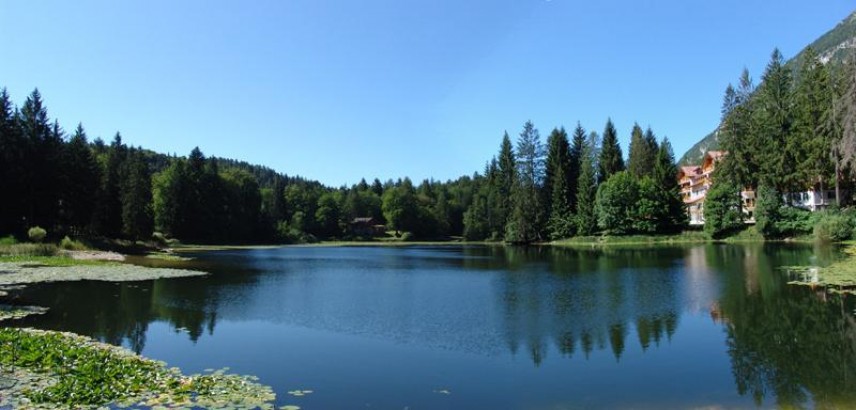 Lago di Cei, uomo di 72 anni cade dall'albero e muore