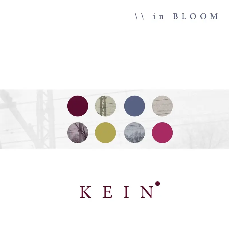 Kein, esce oggi l'album di debutto 'In-Bloom'