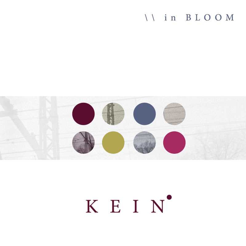 Kein, esce oggi l'album di debutto 'In-Bloom'