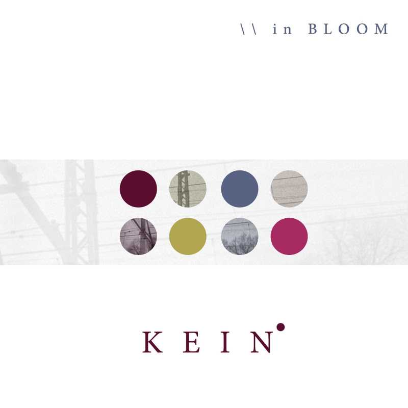 Kein, esce oggi l'album di debutto 'In-Bloom'