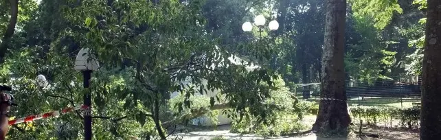 Firenze: donna di 51 anni muore colpita da un ramo, la nipote è a rischio di morte celebrale