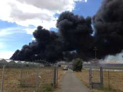 Incendi nel cagliaritano, devastata dal fuoco un'azienda florovivaistica