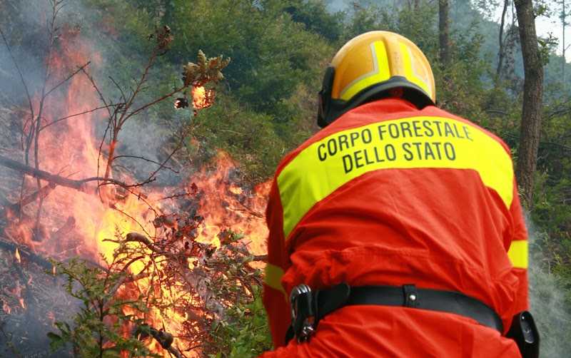 La Sicilia è in fiamme ma i forestali sono costretti a restare a casa. La denuncia dei sindacati
