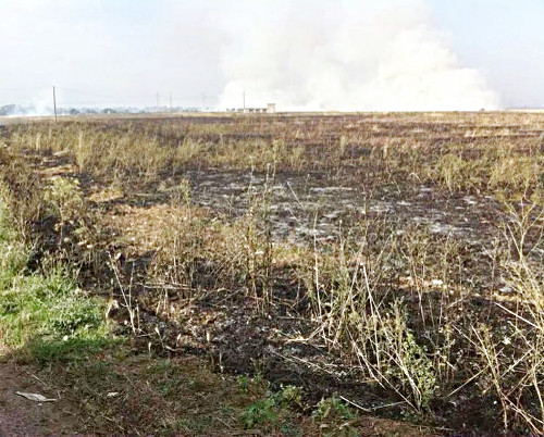 Incendiati terreni confiscati alla Mafia