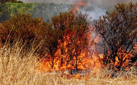 Sardegna in fiamme. Incendi nel cagliaritano e a Villacidro