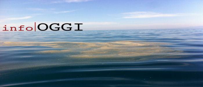 Sellia Marina (CZ), inizia (male) la nuova stagione estiva [FOTO & VIDEO]