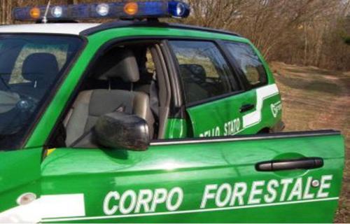 Lamezia Terme: "Tutti uniti contro gli incendi", progetto educativo del Corpo Forestale