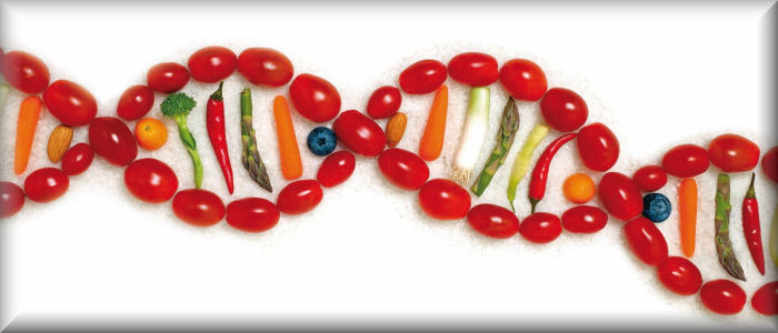 Scapagnini: Dalle piante l'elisir di lunga vita