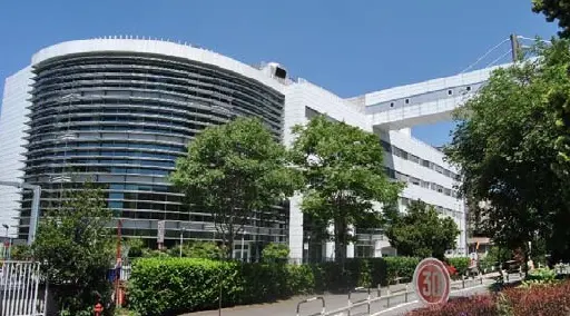 Torino: operaio investito da cingolato in condizioni gravissime
