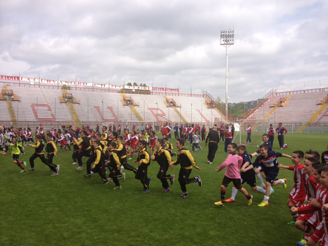 Football Academy Cup 2014