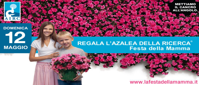 Azalea della Ricerca per la Festa della Mamma