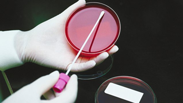 Asp Catanzaro: Tiriolo, promuovere salute attraverso i consultori familiari