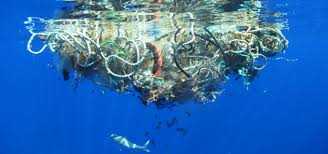 I rifiuti contaminano i fondali marini, l'immondizia raggiunge il fondo del mare
