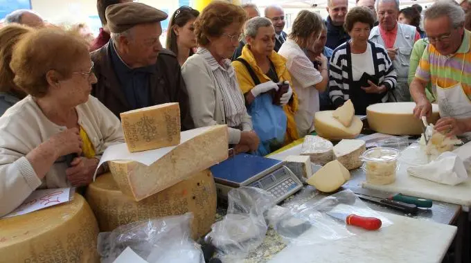 Milano, verso Expo 2015: primo mercato agricolo dei prodotti lombardi