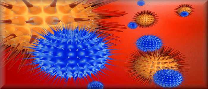 AIDS: proteina blocca-HIV trovata in un corallo