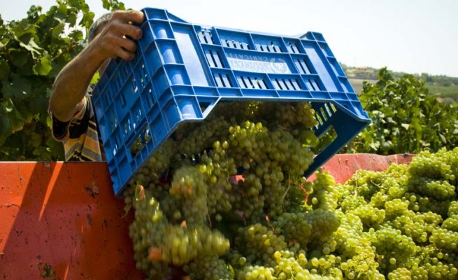 Bellomo restituisca 640mila Euro alla Regione