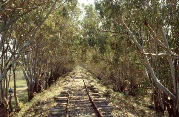 La rivincita delle ferrovie abbandonate, tra ecologia e turismo responsabile